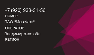 9209333156